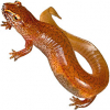 https://www.americanbreeder.com/images/com_adsmanager/categories/7345cat_t.jpg