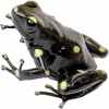 https://www.americanbreeder.com/images/com_adsmanager/categories/7479cat_t.jpg