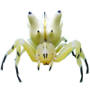 https://www.americanbreeder.com/images/com_adsmanager/categories/7487cat_t.jpg