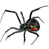 https://www.americanbreeder.com/images/com_adsmanager/categories/7535cat_t.jpg
