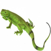 https://www.americanbreeder.com/images/com_adsmanager/categories/7754cat_t.jpg