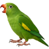 https://www.americanbreeder.com/images/com_adsmanager/categories/7978cat_t.jpg