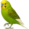 https://www.americanbreeder.com/images/com_adsmanager/categories/8077cat_t.jpg