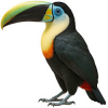https://www.americanbreeder.com/images/com_adsmanager/categories/8082cat_t.jpg