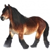 https://www.americanbreeder.com/images/com_adsmanager/categories/865cat_t.jpg