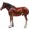 https://www.americanbreeder.com/images/com_adsmanager/categories/866cat_t.jpg
