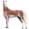 https://www.americanbreeder.com/images/com_adsmanager/categories/870cat_t.jpg