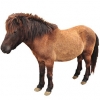 https://www.americanbreeder.com/images/com_adsmanager/categories/874cat_t.jpg