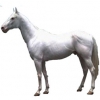 https://www.americanbreeder.com/images/com_adsmanager/categories/892cat_t.jpg