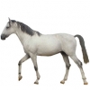https://www.americanbreeder.com/images/com_adsmanager/categories/894cat_t.jpg
