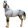 https://www.americanbreeder.com/images/com_adsmanager/categories/898cat_t.jpg