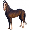 https://www.americanbreeder.com/images/com_adsmanager/categories/904cat_t.jpg
