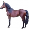 https://www.americanbreeder.com/images/com_adsmanager/categories/907cat_t.jpg