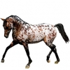 https://www.americanbreeder.com/images/com_adsmanager/categories/915cat_t.jpg