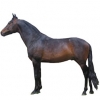 https://www.americanbreeder.com/images/com_adsmanager/categories/916cat_t.jpg