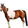 https://www.americanbreeder.com/images/com_adsmanager/categories/917cat_t.jpg