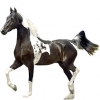 https://www.americanbreeder.com/images/com_adsmanager/categories/918cat_t.jpg