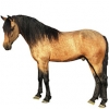 https://www.americanbreeder.com/images/com_adsmanager/categories/924cat_t.jpg