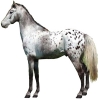 https://www.americanbreeder.com/images/com_adsmanager/categories/931cat_t.jpg