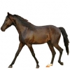 https://www.americanbreeder.com/images/com_adsmanager/categories/941cat_t.jpg