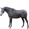 https://www.americanbreeder.com/images/com_adsmanager/categories/942cat_t.jpg