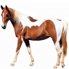 https://www.americanbreeder.com/images/com_adsmanager/categories/950cat_t.jpg