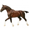 https://www.americanbreeder.com/images/com_adsmanager/categories/961cat_t.jpg