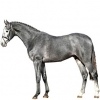 https://www.americanbreeder.com/images/com_adsmanager/categories/973cat_t.jpg