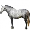 https://www.americanbreeder.com/images/com_adsmanager/categories/975cat_t.jpg