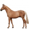https://www.americanbreeder.com/images/com_adsmanager/categories/977cat_t.jpg
