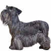 https://www.americanbreeder.com/images/com_adsmanager/categories/97cat_t.jpg