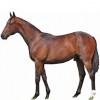 https://www.americanbreeder.com/images/com_adsmanager/categories/985cat_t.jpg