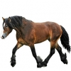 https://www.americanbreeder.com/images/com_adsmanager/categories/995cat_t.jpg