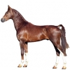 https://www.americanbreeder.com/images/com_adsmanager/categories/996cat_t.jpg