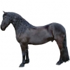 https://www.americanbreeder.com/images/com_adsmanager/categories/998cat_t.jpg