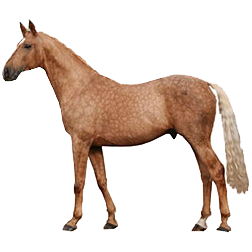 Kinsky Light Horse