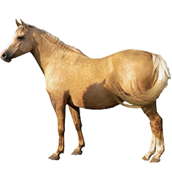 Novokirghiz Horse
