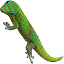 Gold Dust Day Gecko Lizard