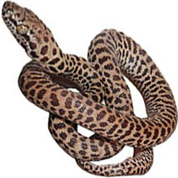 Children’s Python Snake