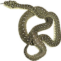 Diamond Python Snake